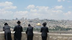 Orthodoxe Juden blicken vom Ölberg auf Jerusalem