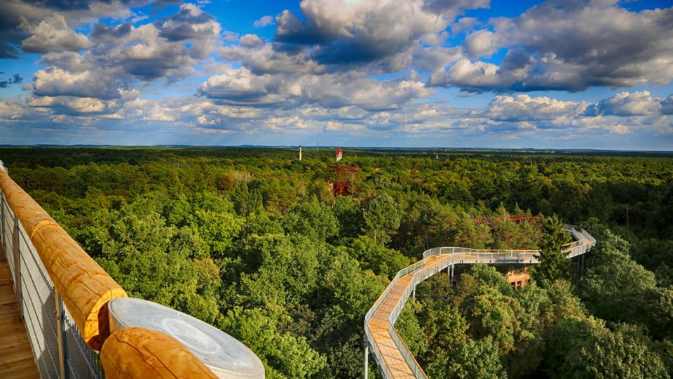 Baumkronenpfad Beelitz-Heilstätten