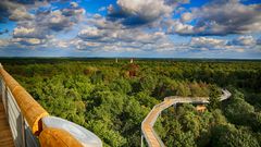 Baumkronenpfad Beelitz-Heilstätten