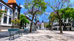 Ein schöner Sommertag in Funchal