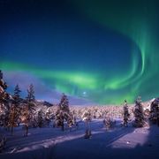 Aurora über winterlichem Wald