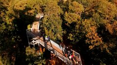 Baumkronenpfad Beelitz-Heilstätten