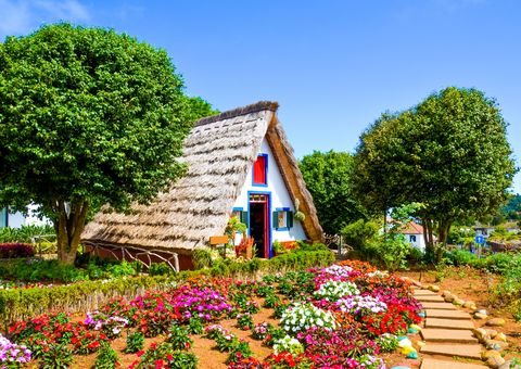 Traditionelles Haus mit Blumen auf Madeira