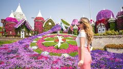 Miracle Garden