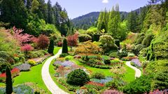 Butchart Gardens