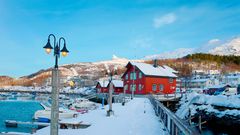 Narvik, wunderschönes Polarziel in Norwegen