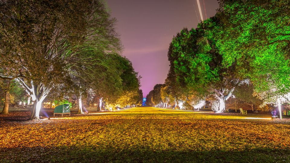 Londoner Königliche Botanische Gärten von Kew zur Weihnachtszeit