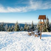 Thüringer Wald Schneekopf