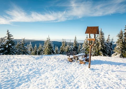 Thüringer Wald Schneekopf