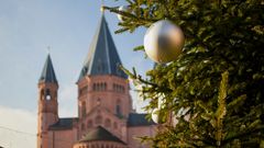 Weihnachtsbaum in Mainz_Claudia Nass_AdobeStock