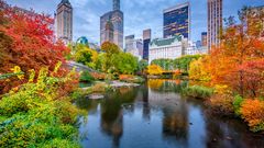 Herbst in New York