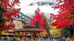 Whistler