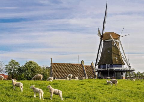 Windmühlen und Deich in Medemblik