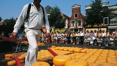 Käsemarkt in Alkmaar