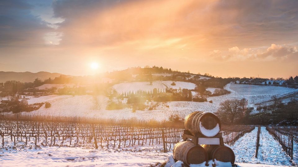 Weingut in Siena im Winter